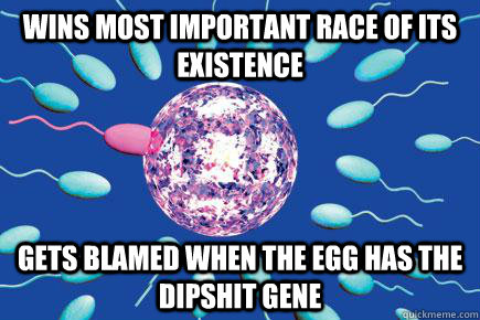 Wins most important race of its existence gets blamed when the egg has the dipshit gene  Misunderstood sperm