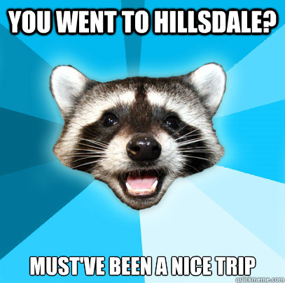 YOU WENT TO HILLSDALE? MUST'VE BEEN A NICE TRIP - YOU WENT TO HILLSDALE? MUST'VE BEEN A NICE TRIP  Lame Pun Coon