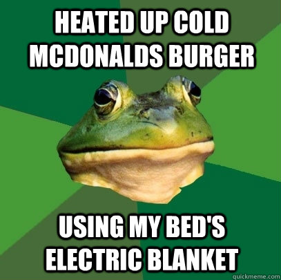 heated up cold mcdonalds burger using my bed's electric blanket  Foul Bachelor Frog