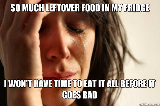 SO MUCH LEFTOVER FOOD IN MY FRIDGE I WON'T HAVE TIME TO EAT IT ALL BEFORE IT GOES BAD Caption 3 goes here  First World Problems