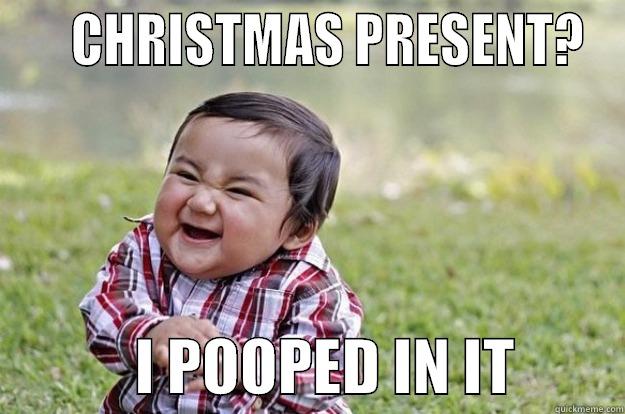     CHRISTMAS PRESENT?             I POOPED IN IT         Evil Toddler