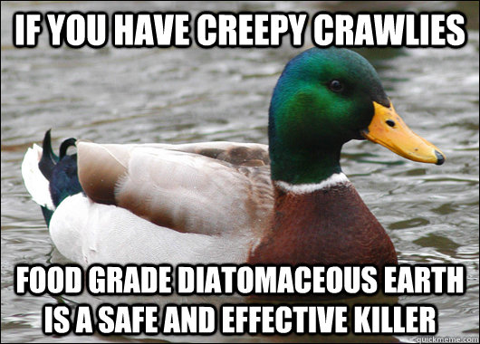 If you have creepy crawlies Food Grade diatomaceous earth is a safe and effective killer - If you have creepy crawlies Food Grade diatomaceous earth is a safe and effective killer  Actual Advice Mallard