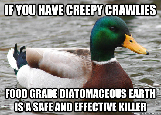 If you have creepy crawlies Food Grade diatomaceous earth is a safe and effective killer  Actual Advice Mallard