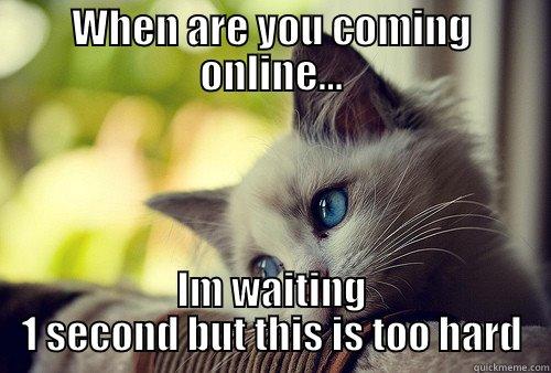 WHEN ARE YOU COMING ONLINE... IM WAITING 1 SECOND BUT THIS IS TOO HARD First World Problems Cat