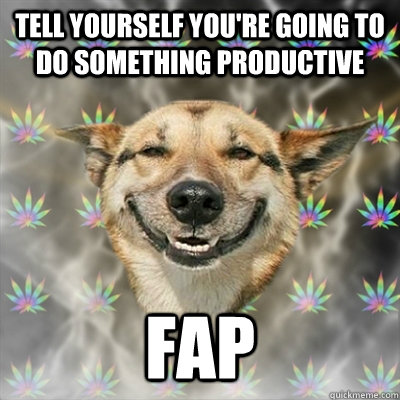 tell yourself you're going to do something productive fap  Stoner Dog