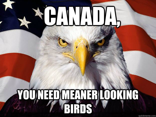   Canada, you need meaner looking birds  Merica Eagle