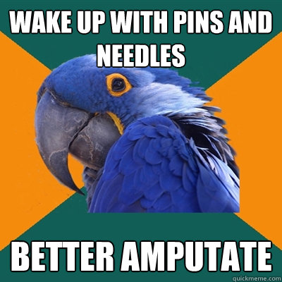 Wake up with pins and needles Better amputate  Paranoid Parrot