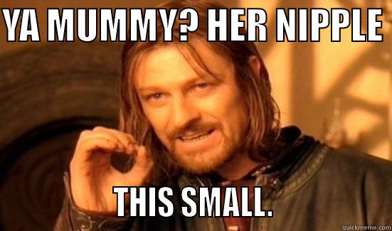 YA MUMMY? HER NIPPLE                  THIS SMALL.                 Boromir