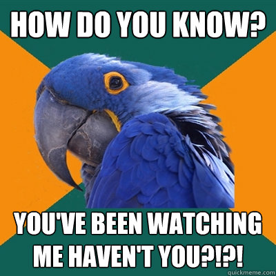 How do you know? you've been watching me haven't you?!?!  Paranoid Parrot