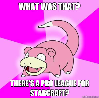 What was that? There's a pro league for StarCraft?  Slowpoke