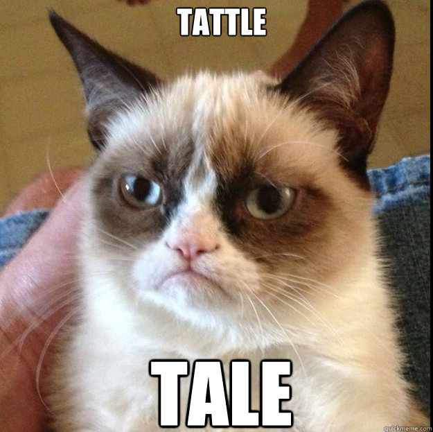 Tattle tale - Tattle tale  Grumpy Cat Square