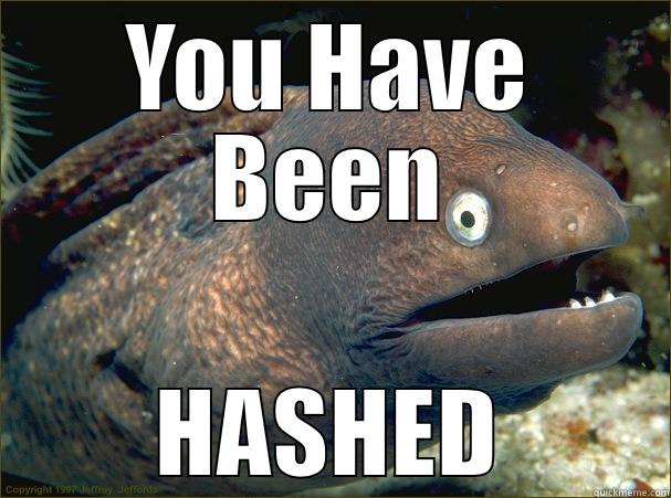 YOU HAVE BEEN HASHED Bad Joke Eel