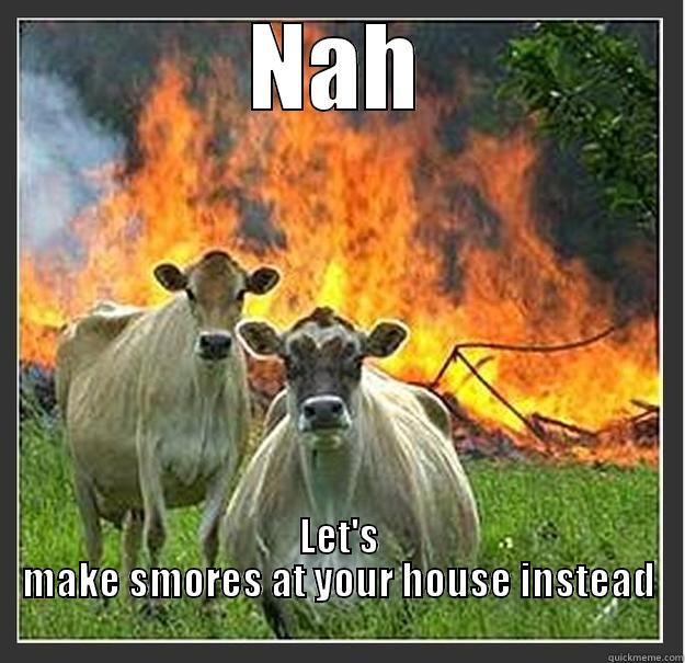 NAH LET'S MAKE SMORES AT YOUR HOUSE INSTEAD                                                                                 Evil cows