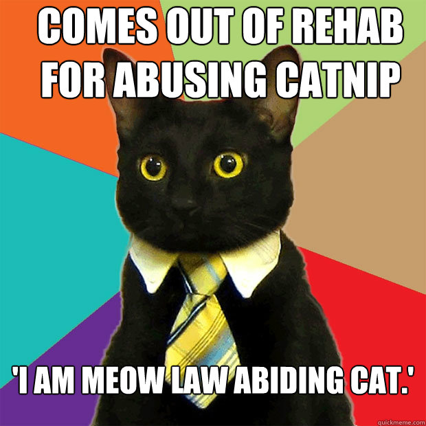 Comes out of rehab for abusing catnip 'I am meow law abiding cat.' - Comes out of rehab for abusing catnip 'I am meow law abiding cat.'  Business Cat