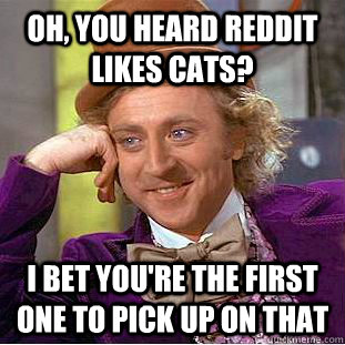 Oh, you heard reddit likes cats? I bet you're the first one to pick up on that  Condescending Wonka