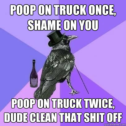 poop on truck once, shame on you poop on truck twice, dude clean that shit off  Rich Raven