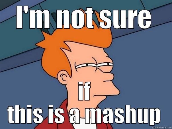 I'M NOT SURE IF THIS IS A MASHUP Futurama Fry