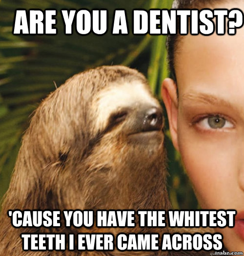 are you a dentist? 'cause you have the whitest teeth I ever came across  rape sloth