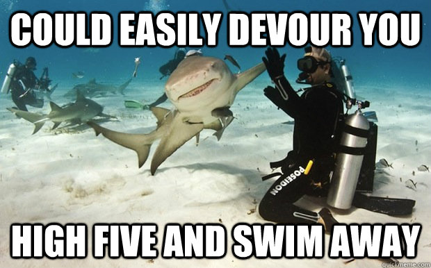 Could Easily Devour You High Five and Swim Away - Could Easily Devour You High Five and Swim Away  Good Guy Shark