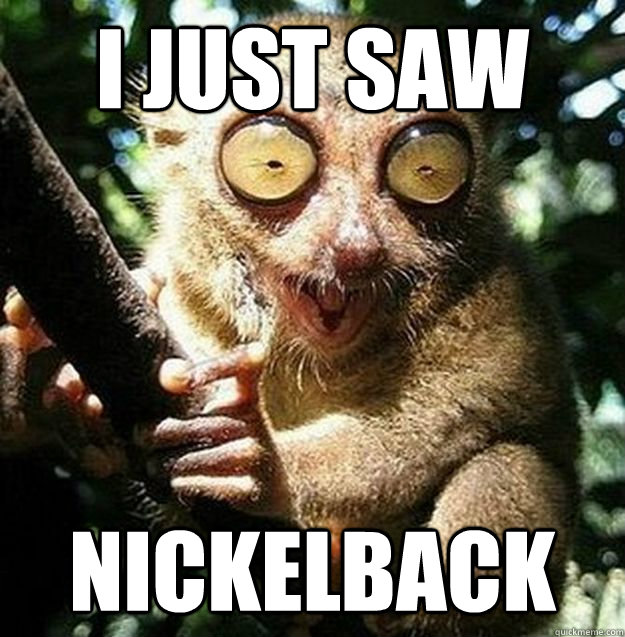 I just Saw Nickelback - I just Saw Nickelback  Over Ecstatic Animal meme