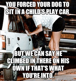 You forced your dog to sit in a child's play car But we can say he climbed in there on his own if that's what you're into.   Karma Whore