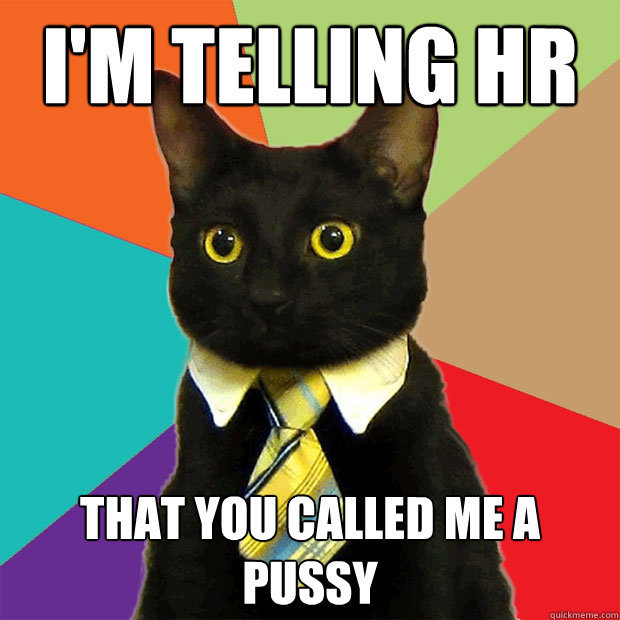I'm telling HR That you called me a pussy  Business Cat