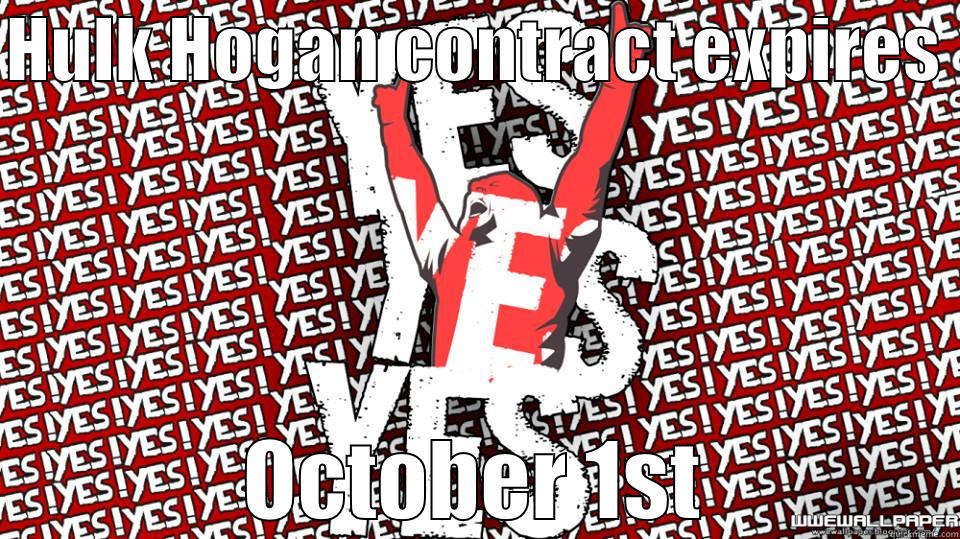YES YES YES! - HULK HOGAN CONTRACT EXPIRES  OCTOBER 1ST Misc