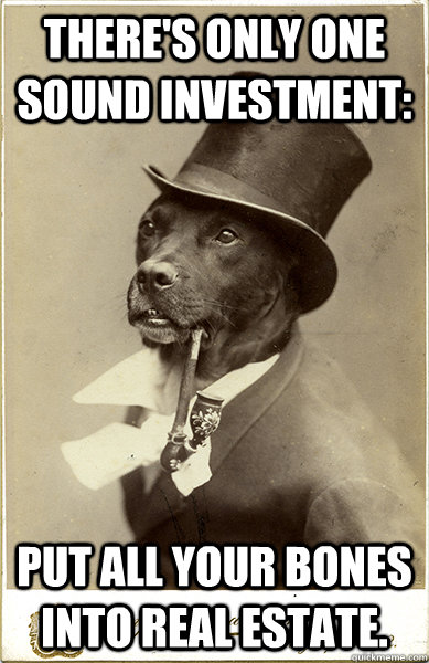 There's only one sound investment: Put all your bones into real estate.  Old Money Dog