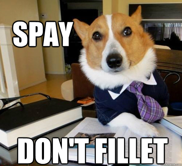 SPAY DON'T FILLET  Lawyer Dog