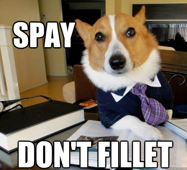 SPAY DON'T FILLET - SPAY DON'T FILLET  Lawyer Dog