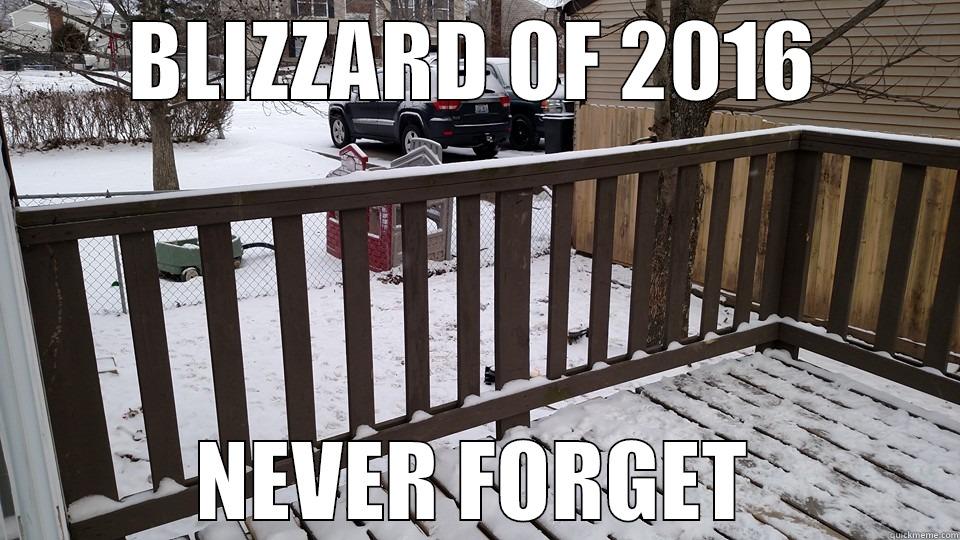 BLIZZARD OF 2016 NEVER FORGET Misc