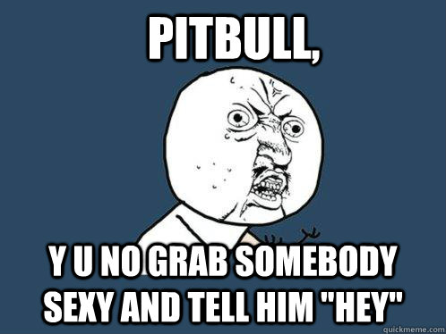 Pitbull, y u no grab somebody sexy and tell him 
