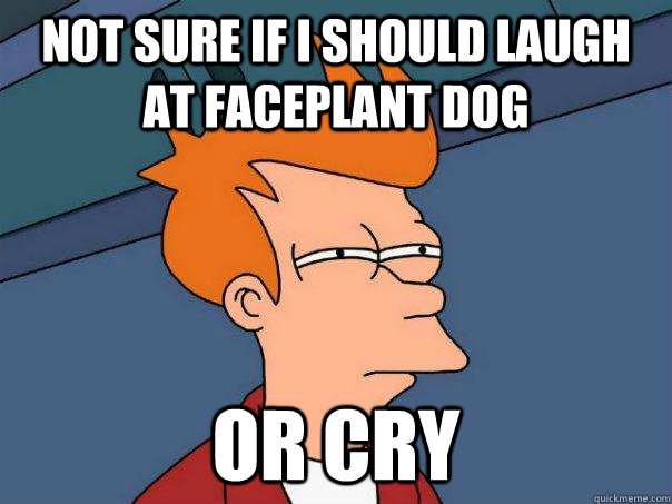 Not sure if I should laugh at faceplant dog Or cry - Not sure if I should laugh at faceplant dog Or cry  Futurama Fry