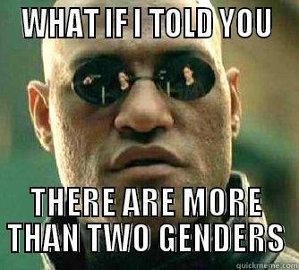  WHAT IF I TOLD YOU  THERE ARE MORE THAN TWO GENDERS Matrix Morpheus