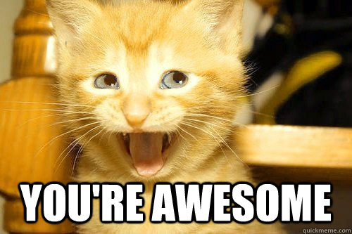  You're awesome  Awesome Cat