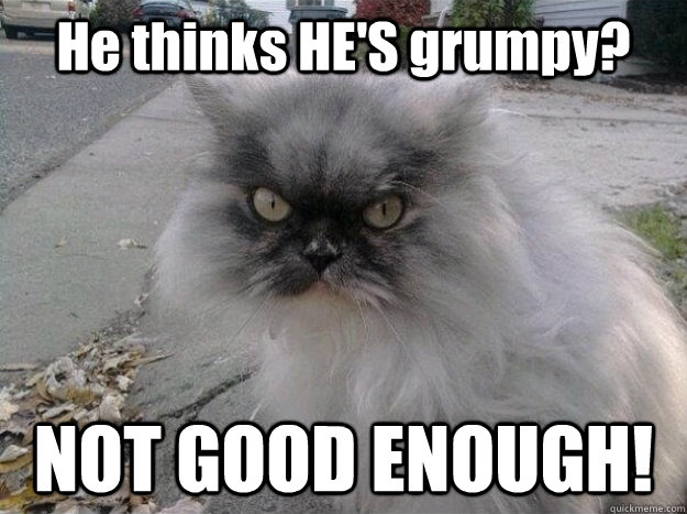 He thinks HE'S grumpy? NOT GOOD ENOUGH! - He thinks HE'S grumpy? NOT GOOD ENOUGH!  New Grumpy Cat