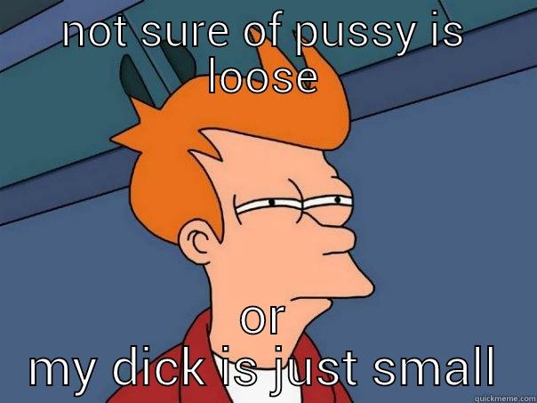 NOT SURE OF PUSSY IS LOOSE OR MY DICK IS JUST SMALL Futurama Fry