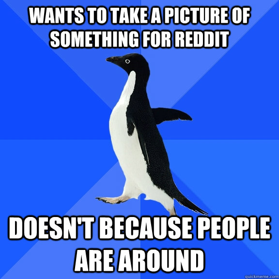 Wants to take a picture of something for reddit Doesn't because people are around  Socially Awkward Penguin