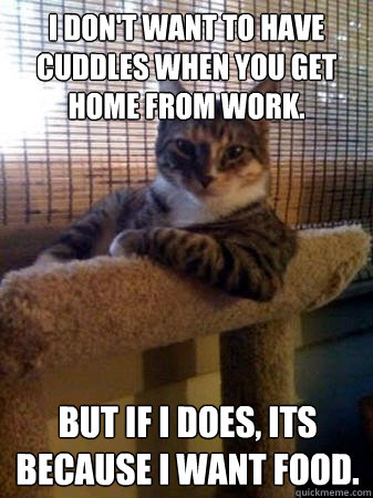 I don't want to have cuddles when you get home from work. but if i does, its because i want food.  The Most Interesting Cat in the World