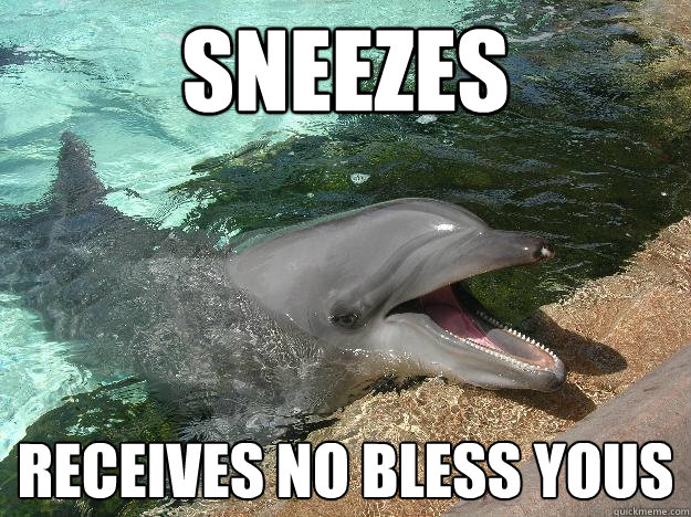 Sneezes receives no bless yous  