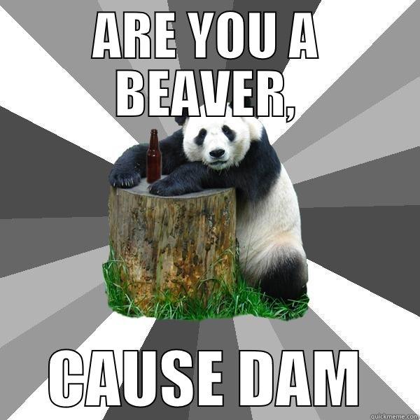 ARE YOU A BEAVER, CAUSE DAM Pickup-Line Panda