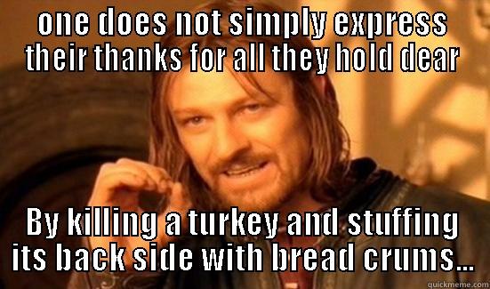 ONE DOES NOT SIMPLY EXPRESS THEIR THANKS FOR ALL THEY HOLD DEAR BY KILLING A TURKEY AND STUFFING ITS BACK SIDE WITH BREAD CRUMS... Boromir