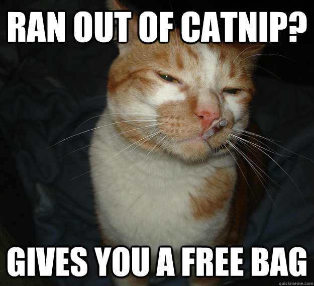 Ran out of catnip? Gives you a free bag   Good Guy Cat