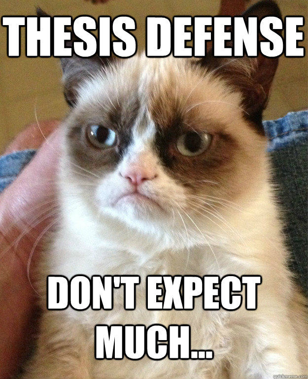 Thesis Defense Don't expect much...  Grumpy Cat