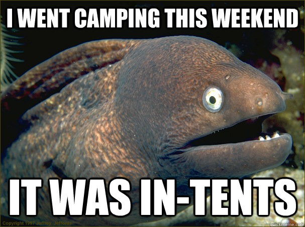 I went camping this weekend It was in-tents - I went camping this weekend It was in-tents  Bad Joke Eel