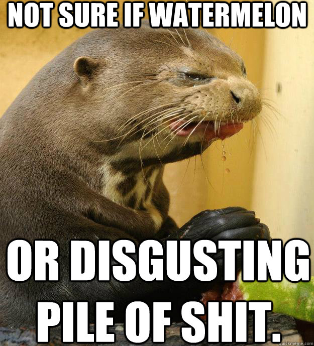 not sure if watermelon or disgusting pile of shit.  ornery otter