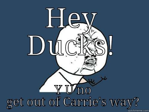 HEY DUCKS! Y U NO GET OUT OF CARRIE'S WAY? Y U No