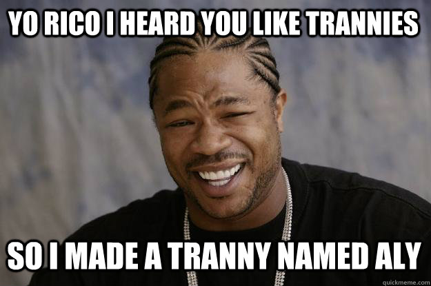 YO RICO I HEARD YOU LIKE TRANNIES SO I MADE A TRANNY NAMED ALY  Xzibit meme