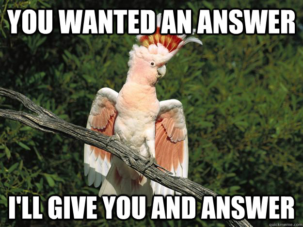 You Wanted An Answer I'll Give You and answer - You Wanted An Answer I'll Give You and answer  Angry Cockatoo