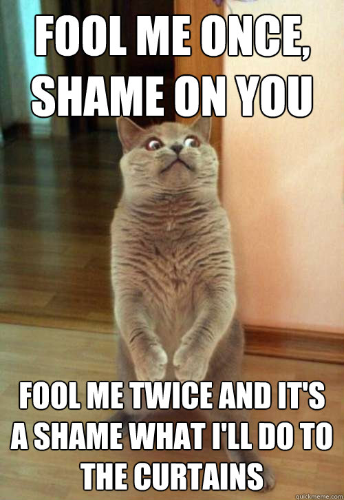 Fool me once, shame on you Fool me twice and it's a shame what i'll do to the curtains - Fool me once, shame on you Fool me twice and it's a shame what i'll do to the curtains  Horrorcat